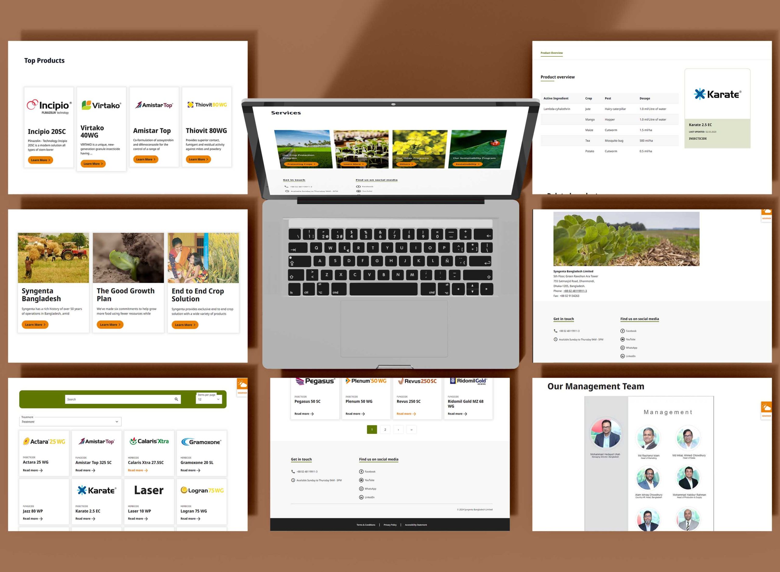 syngenta bangladesh website design screens