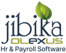 Jibika Plexus